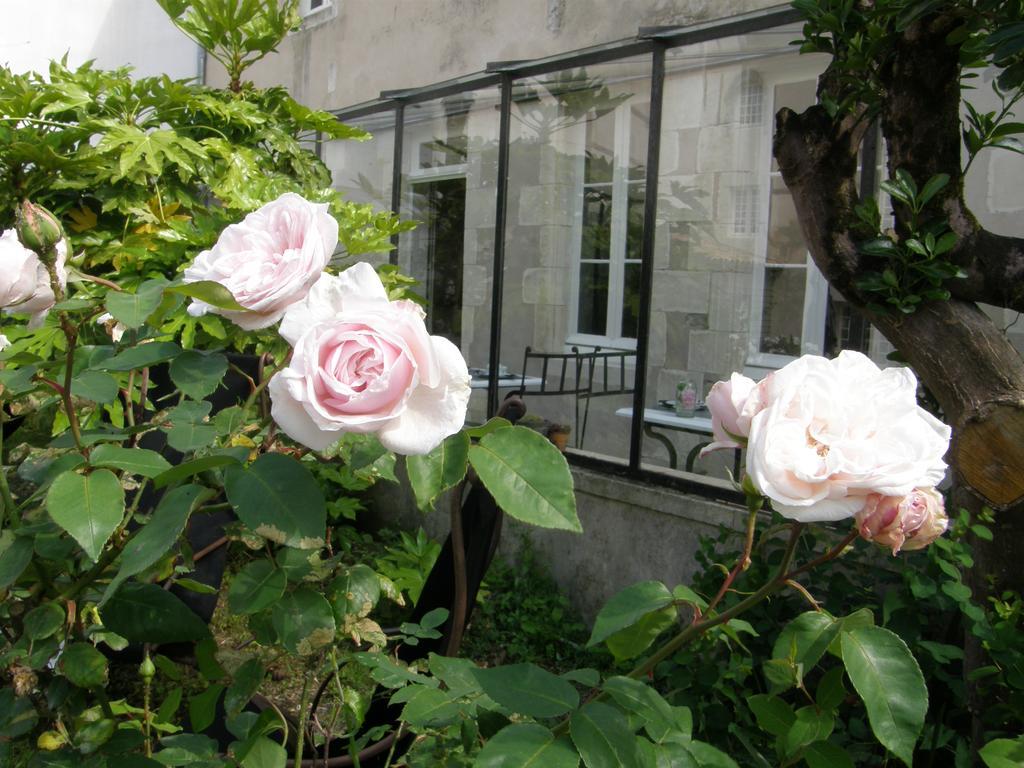La Maison Douce Saint-Martin-de-Re Bagian luar foto