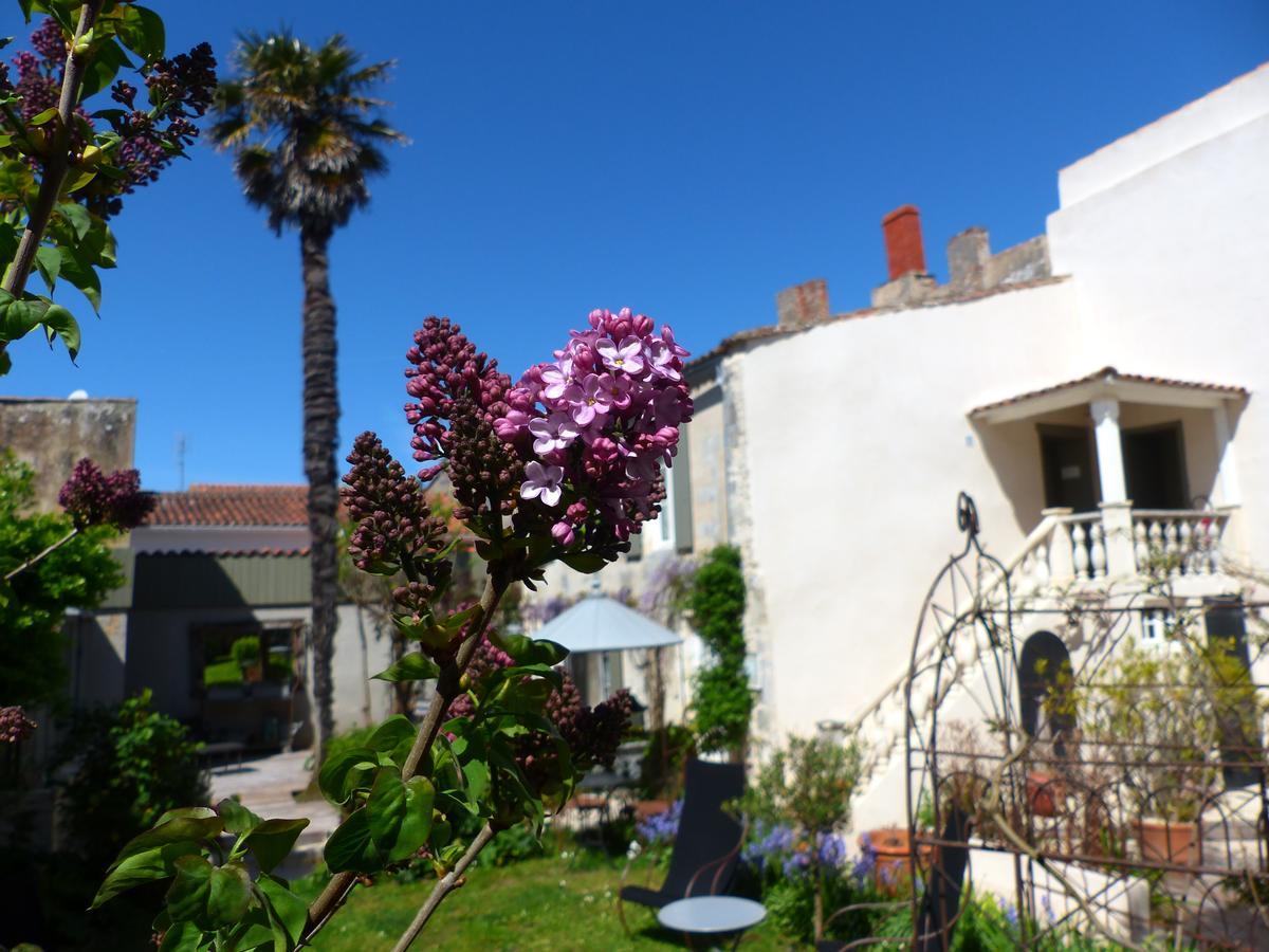 La Maison Douce Saint-Martin-de-Re Bagian luar foto